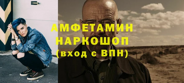 сатива Няндома
