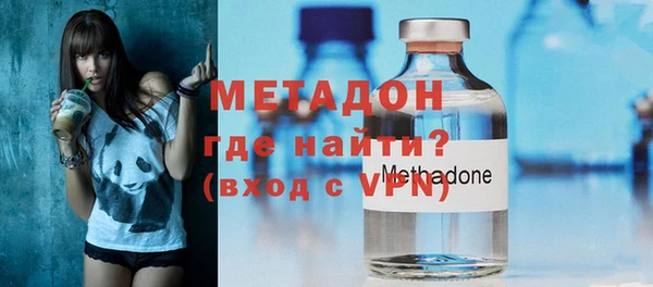 сатива Няндома