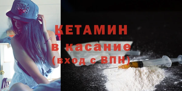 сатива Няндома