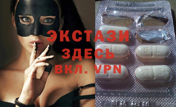 сатива Няндома