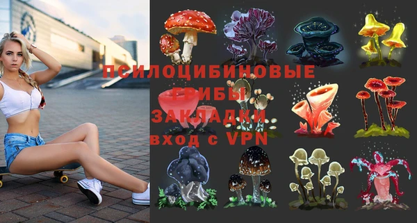 дурь Нягань