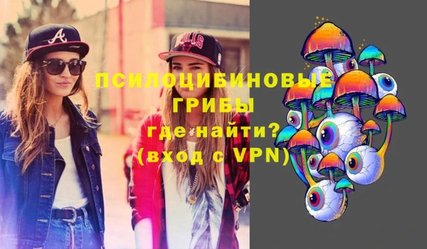 сатива Няндома