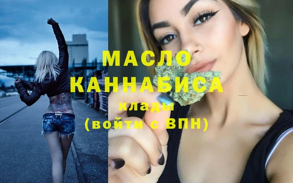 сатива Няндома
