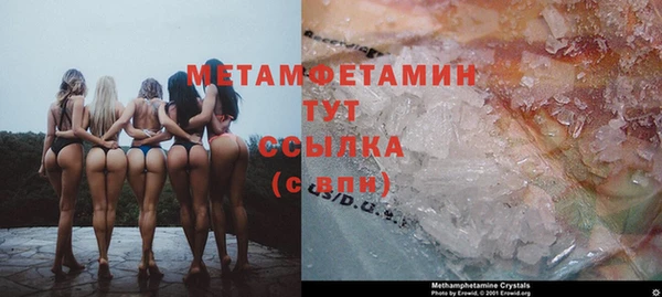 сатива Няндома