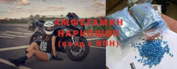 сатива Няндома