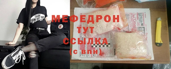 сатива Няндома